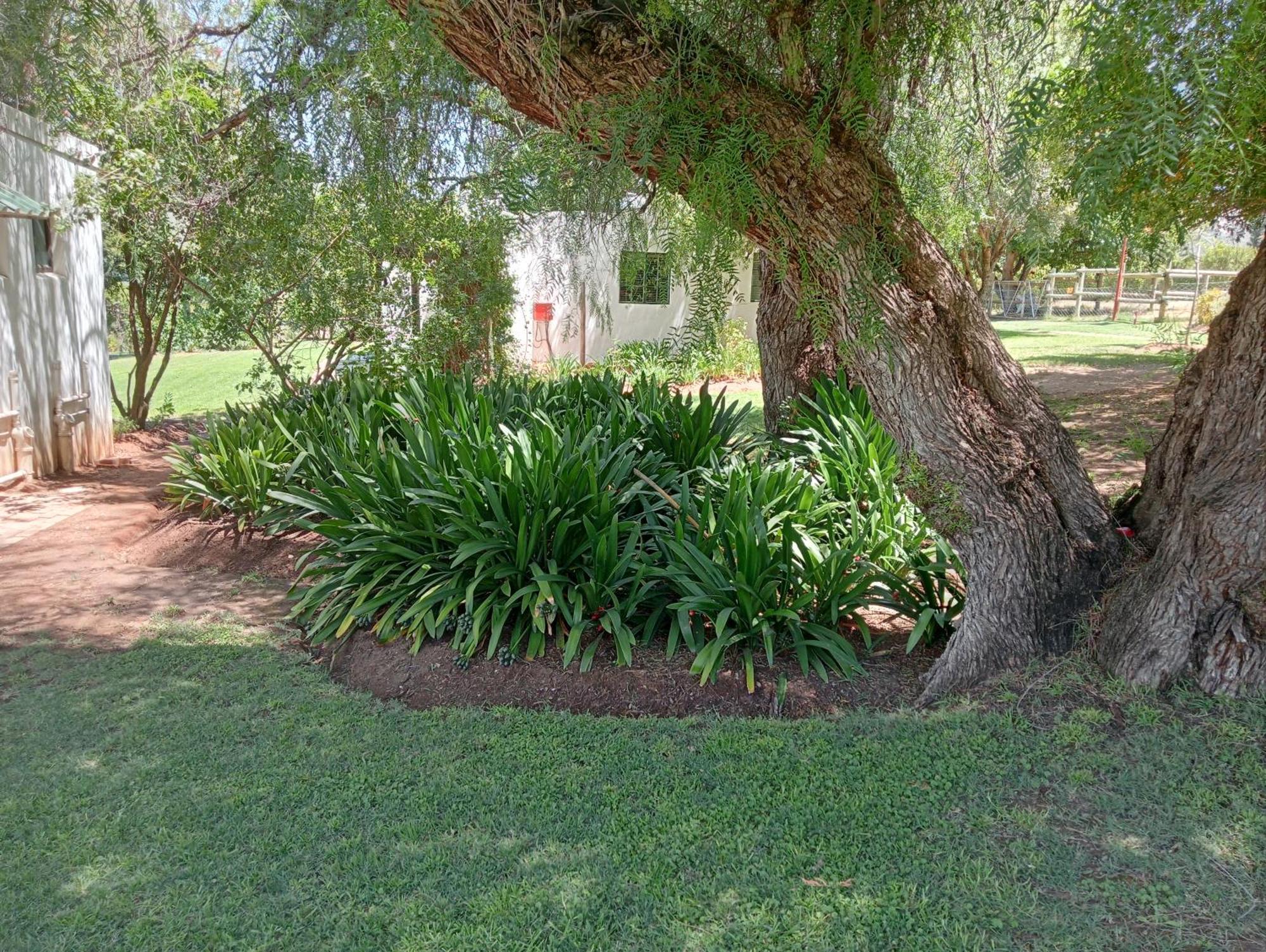Kranskloof Country Lodge Oudtshoorn Eksteriør bilde