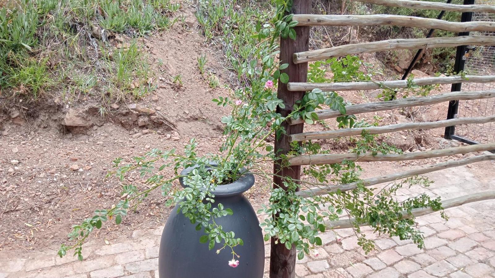 Kranskloof Country Lodge Oudtshoorn Eksteriør bilde