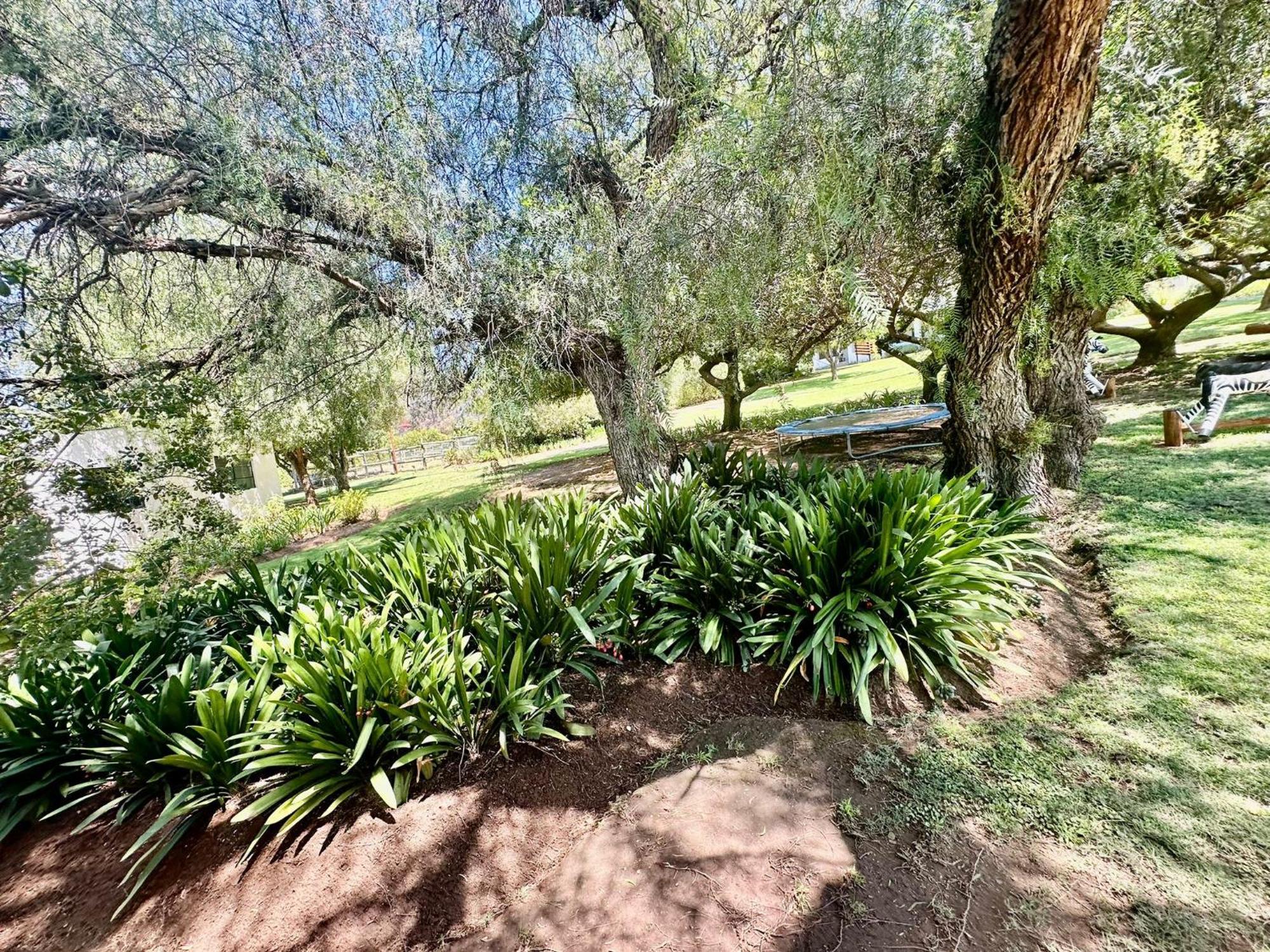 Kranskloof Country Lodge Oudtshoorn Eksteriør bilde