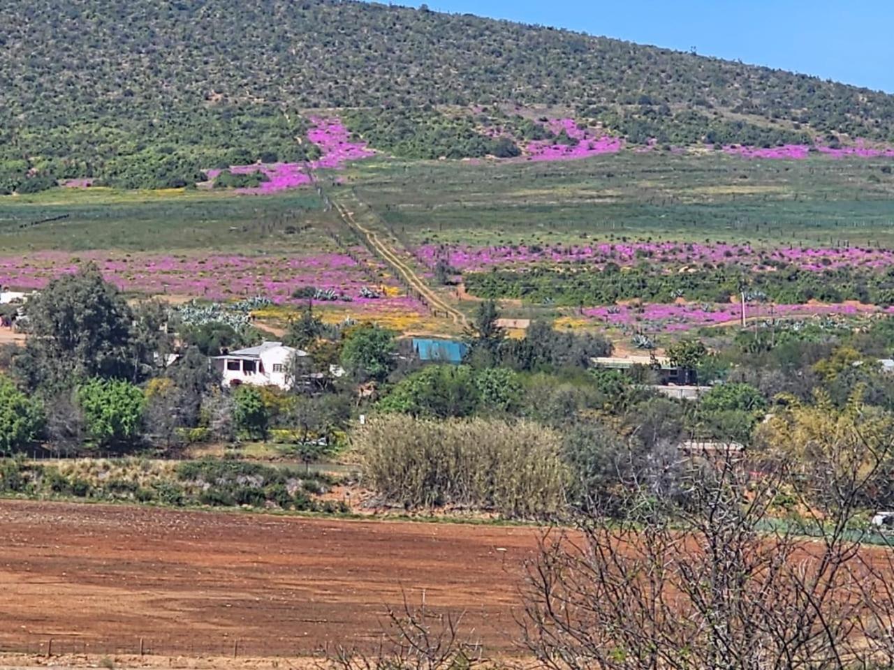 Kranskloof Country Lodge Oudtshoorn Eksteriør bilde